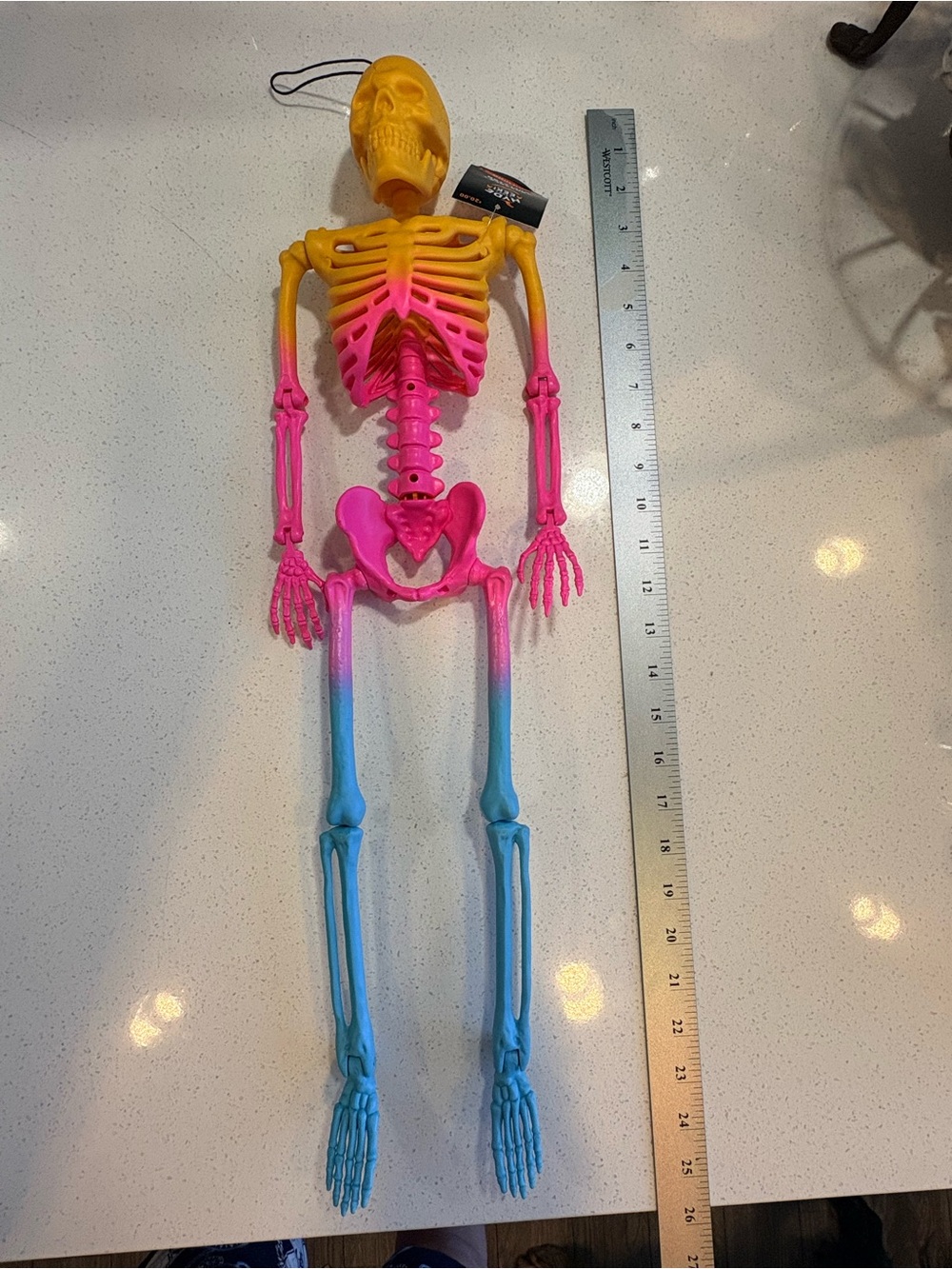 Colorful Ombré Posable Skeleton Decor - Pink, Yellow & Blue
